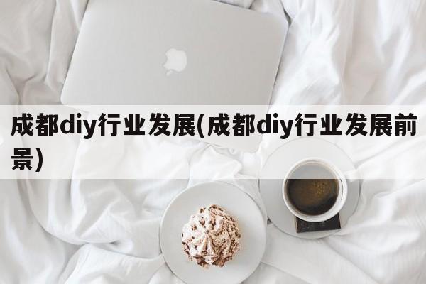 成都diy行业发展(成都diy行业发展前景)