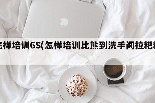 怎样培训6S(怎样培训比熊到洗手间拉粑粑)